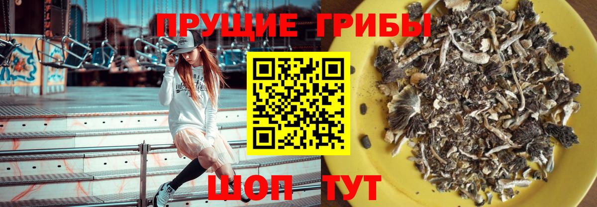 Псилоцибиновые грибы Psilocybe  Вход с VPN  Верхняя Салда 