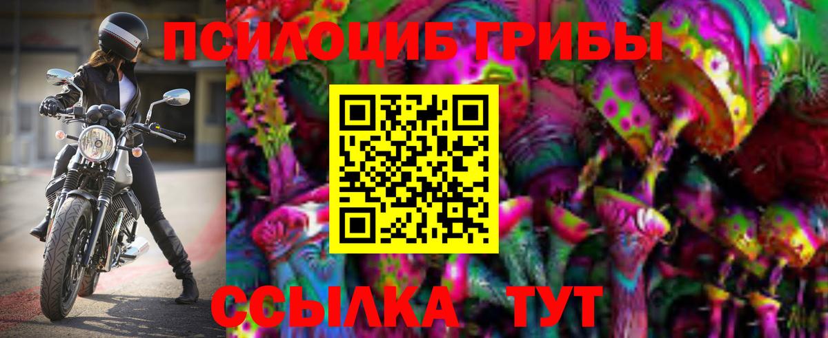 Галлюциногенные грибы прущие грибы Верхняя Салда